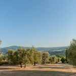 Poggio Del Pero Gospodarstwo agroturystyczne Panicale