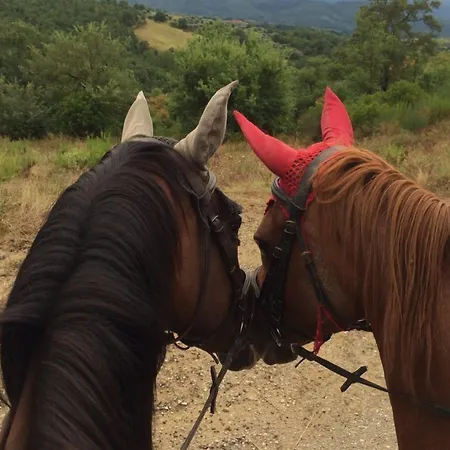 Poggio Del Pero Κατάλυμα σε φάρμα *