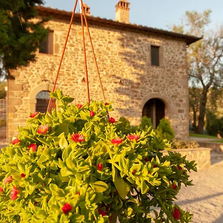 Feriegård Poggio Del Pero Panicale