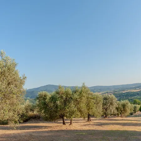 Agroturismo Poggio Del Pero