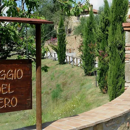 Poggio Del Pero パニカーレ