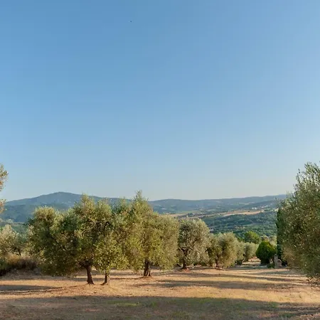 Poggio Del Pero Feriegård Panicale