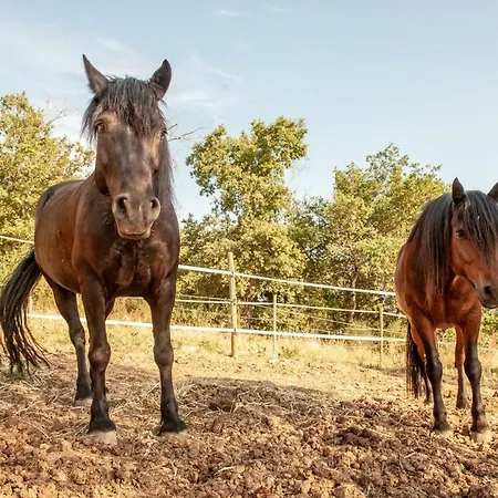 Poggio Del Pero Κατάλυμα σε φάρμα *