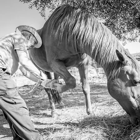 Poggio Del Pero Κατάλυμα σε φάρμα