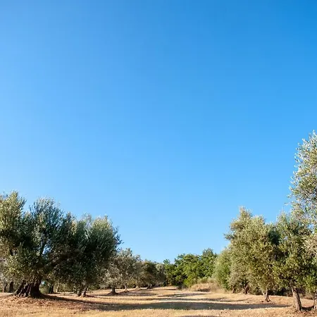 Poggio Del Pero Feriegård