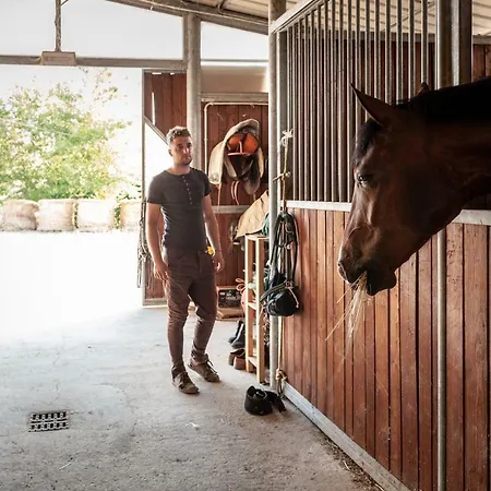 Poggio Del Pero Feriegård Panicale
