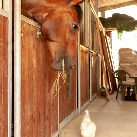 Poggio Del Pero Feriegård *