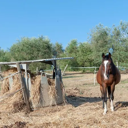 Poggio Del Pero Feriegård *