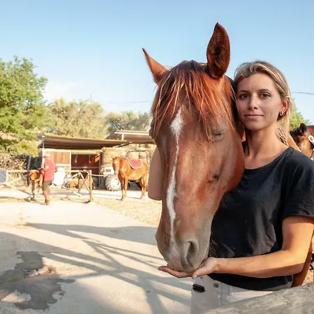 Poggio Del Pero * Panicale