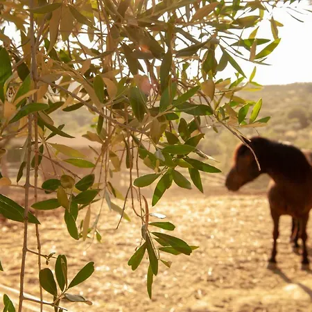 Poggio Del Pero Feriegård *